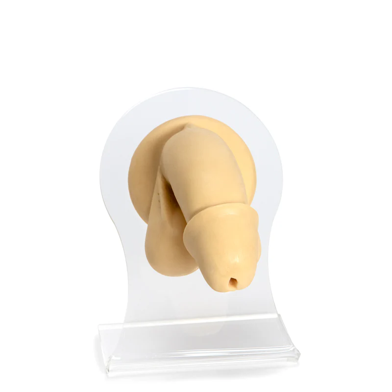 Pre-Pierced Silicone Body Parts - Image 6